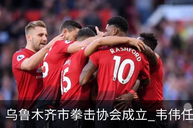 乌鲁木齐市拳击协会成立 韦伟任会长